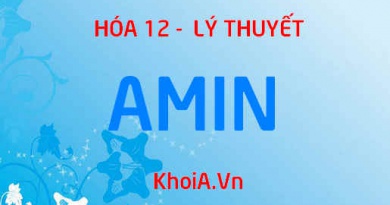 Amin là gì? Tính chất vật lý, Tính chất hóa học của Amin khái niệm và phân loại Amin - Hóa 12 bài 9